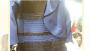 The Internet Has Been Making #TheDress Memes