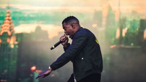 Wild Life Festival Was A Triumph, But Not So Wild For Classic Hip-Hop