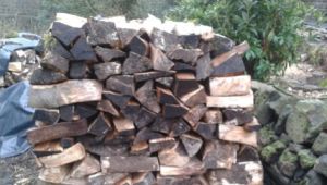 The Trials & Tribulations Of An Amateur Lumberjack