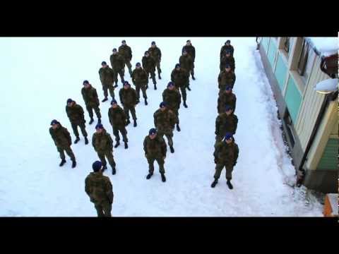 Norwegian Soldiers Do The Harlem Shake