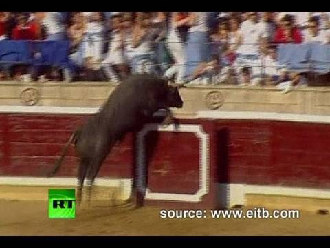 Bull Jumps Into Stands