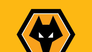 Watch Hat-Trick From Teenage Wolves Hotshot Wanted By Man Utd