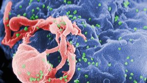 How Much Do We Know About HIV In The 21st Century?