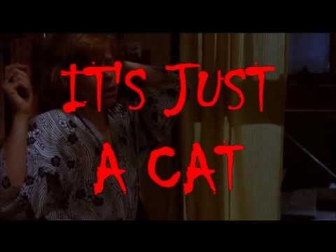 Supercut: Scary Scenes When It Turns Out Just To Be A Cat
